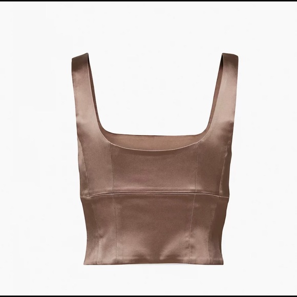 Aritzia Shine Bustier Top - Picture 2 of 5